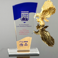 Kristal Plaket P221