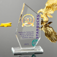Kristal plaket P211