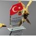 P101 Akademik Cam Plaket